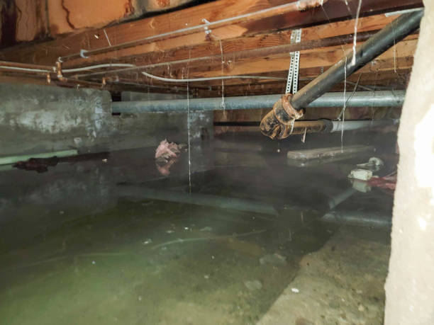 Best Water damage restoration insurance claims  in Sugarland Run, VA