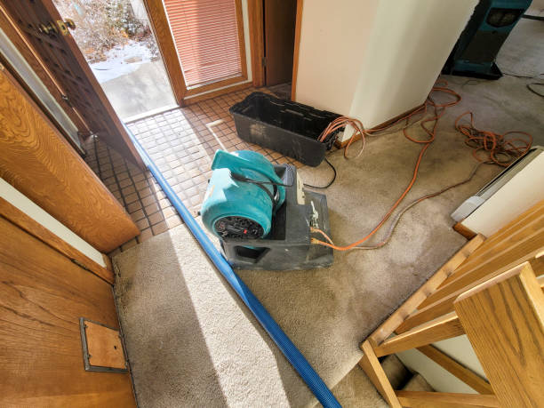 Best Water damage restoration company  in Sugarland Run, VA