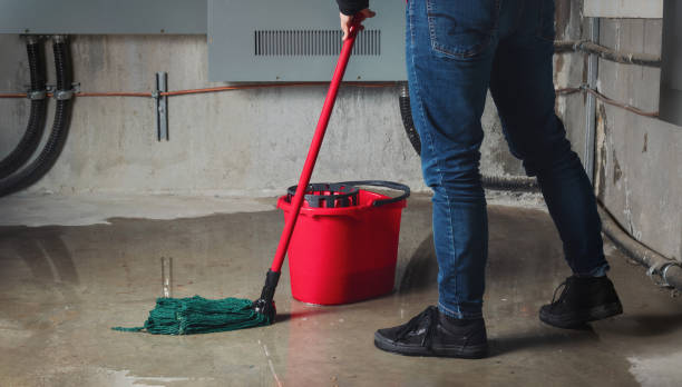 Best 24/7 water damage repair  in Sugarland Run, VA
