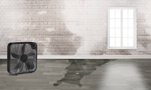 Best Fire Damage Restoration  in Sugarland Run, VA