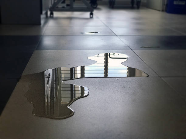 Best Water damage restoration cost  in Sugarland Run, VA